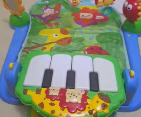 费雪婴儿健身架，八九成新。刚买的时候啥都不...