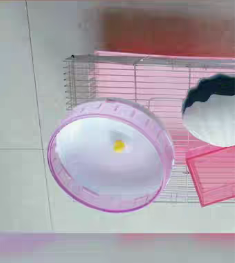 退圈出 仅自提～坐标宁波海曙区古林镇镇府旁...