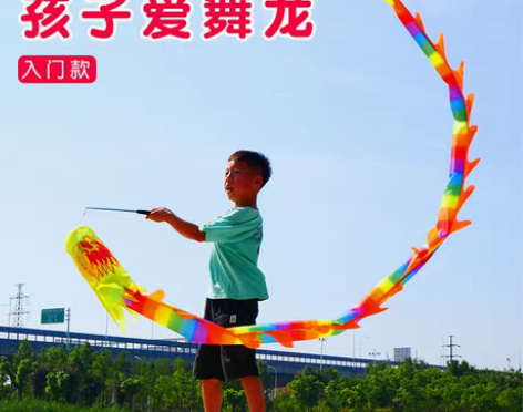 转卖健身甩龙舞龙彩带 儿童成人舞飘带 空竹...