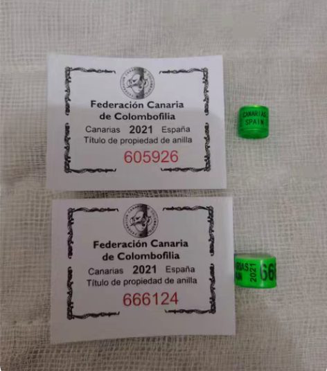 包邮2021年份国外足环，西班牙2枚，墨西...