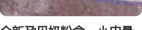 全新孕贝奶粉盒，小皮量勺及密封夹，304不...