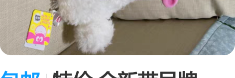 包邮特价 全新带吊牌  LLJ 夹机占 日...