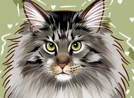 宠物画画头像定制可爱头像定制手绘头像 来图...