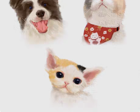 宠物头像约稿定制  宠物手绘定制  照片手...