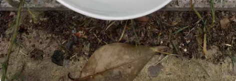 乡下收到一个民国四季花卉碗 乡下收到一个四...