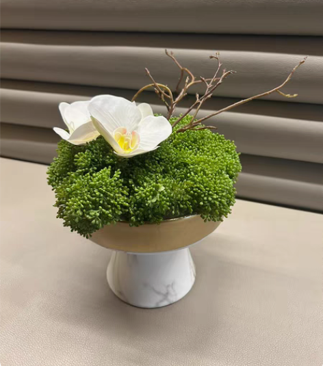 现代工艺品米果蝴蝶兰微景观盆景花艺摆件～摆...