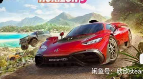 地平线5 下单发Steam账号密码，Ste...