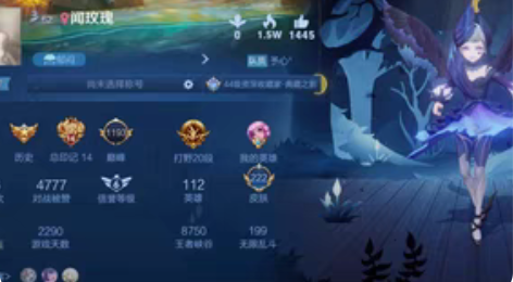 王者苹果q区共号 我平时不玩 你当自己号玩...