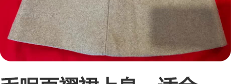 毛呢百褶裙上身，适合160左右小个子，九成...