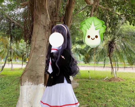 包邮【出】百变小樱 魔卡少女樱 大道寺知世...