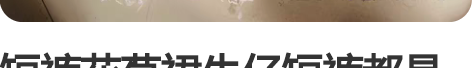 短裤花苞裙牛仔短裤都是十成新，有的全新带吊...