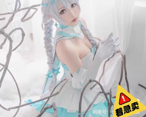 搬家特价可刀 初兽猫家崩坏三琪安娜冬之公主...