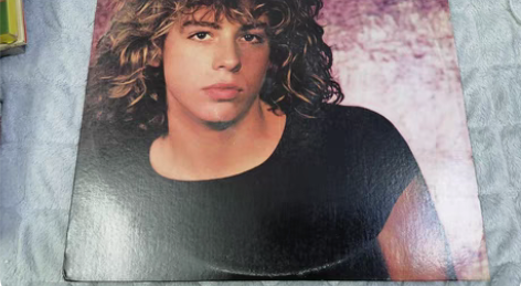 美国明星leif garrett专辑《ga...