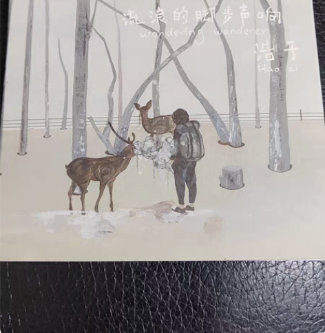 浩子《流浪的脚步声响》 首版仅拆封。￥60