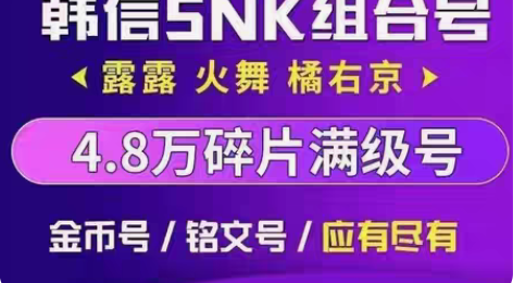 包邮王者荣耀金币号铭文号水晶号韩信SNK正...