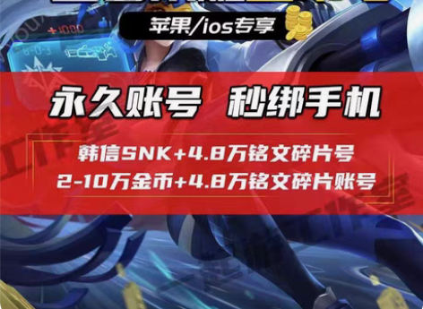 包邮王者荣耀永久号正式抢先服 金币号铭文号...