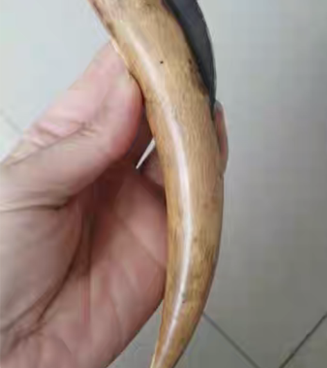 包邮老刀一把。 感兴趣的话点“我想要”和我...