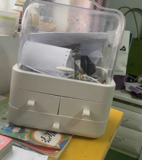 转卖物生物网红化妆品收纳盒家用防尘简约桌面...