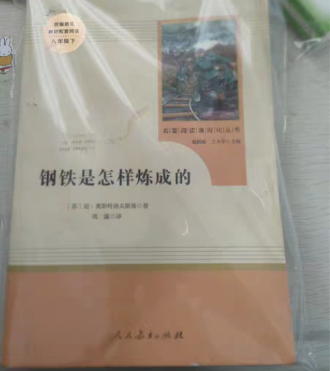钢铁是怎样炼成的 人民教育出版完整版无删减...