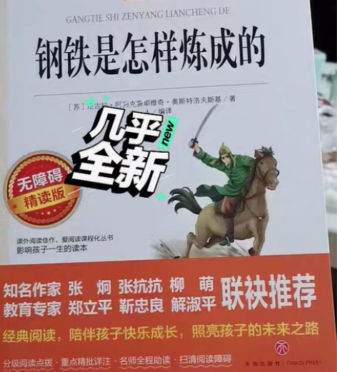 《傅雷家书》和《钢铁是怎样炼成的》原版原著...