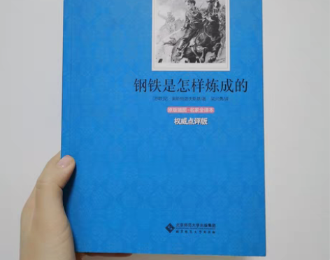 包邮《钢铁是怎样炼成的》 是前苏联作家尼古...