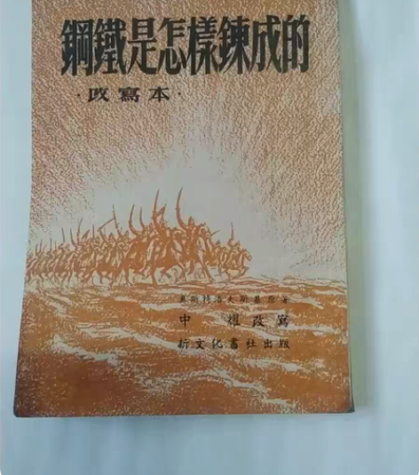 1952年出版，钢铁是怎样炼成的，品自鉴，...