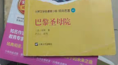 巴黎圣母院,搬家清理了,9块钱一本书 感兴...