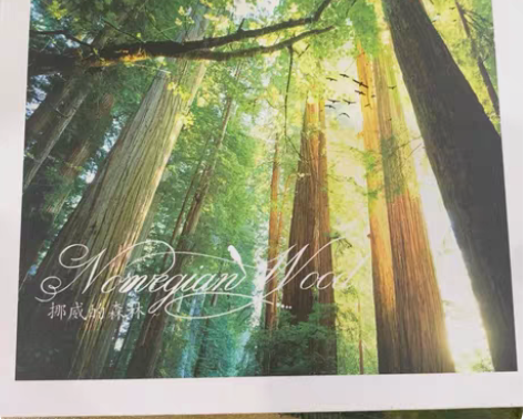 包邮挪威的森林CD 感兴趣的话点“我想要”...