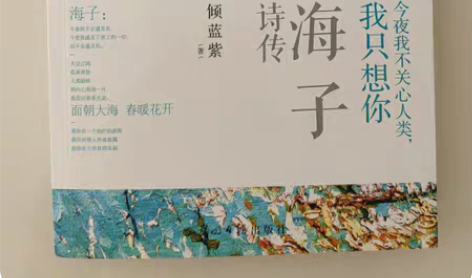 海子诗传 京东购入正版图书,只看过一次...