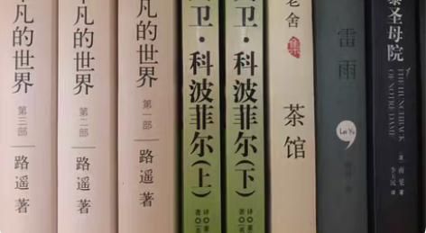 高中学校必读书：《平凡的世界》《大卫科波菲...