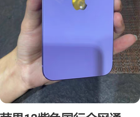苹果12紫色国行全网通256G珠光宝气的颜...