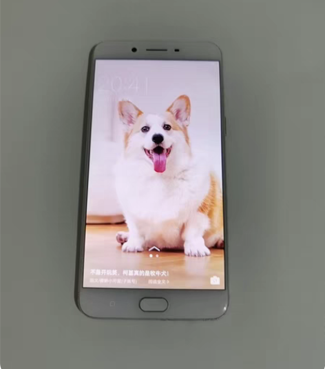 OPPO R9sPlus 6+64G 原装...