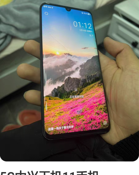 5G中兴天机11手机，ZTEA2021手机...