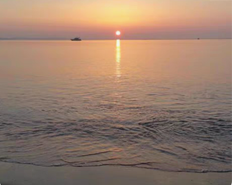 包邮网络统考计算机题库+英语B 题目是从小...