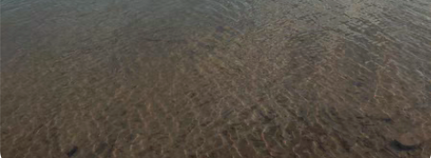 专业电脑组装，升级，维修及租赁，软硬件网络...