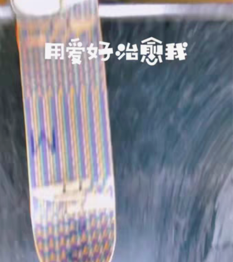 前滩/世博/上海科技馆 滑板/陆地冲浪板 ...