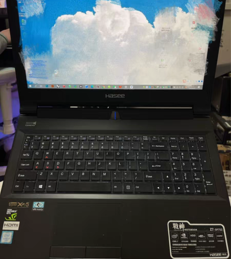 转卖【双11全球狂欢节】Hasee/神舟 ...