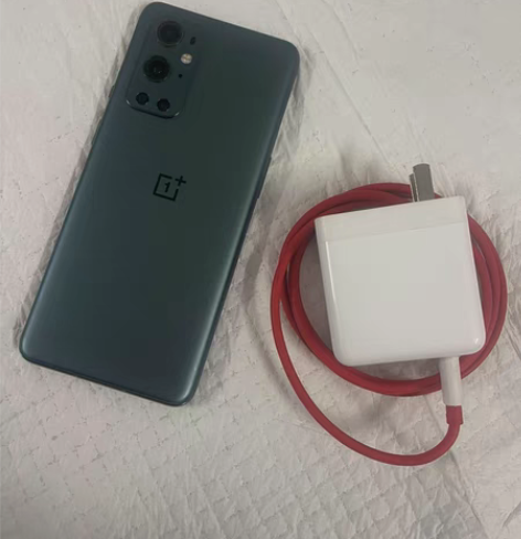 纯原一加9pro 内存8?256 所以功能...