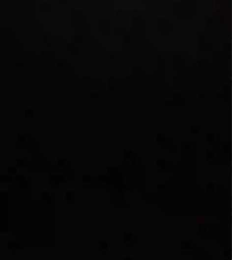 包邮风雅宫王建宏笛子竹笛 小G调 两年前1...