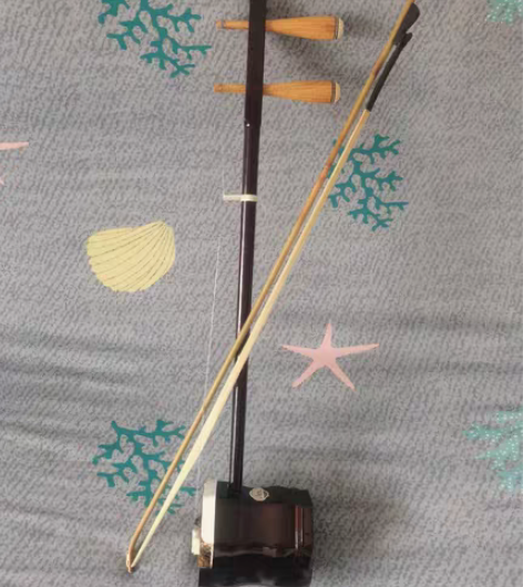 包邮苏州二胡民族乐器全套大音量老年人成人初...