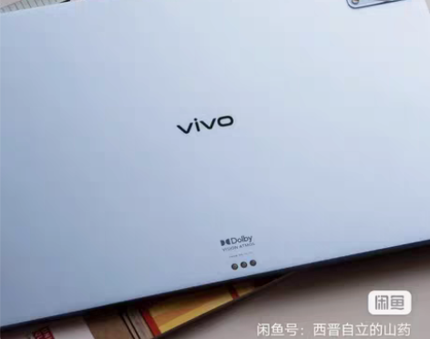 Vivoivo Pad，自用机，骁龙870...