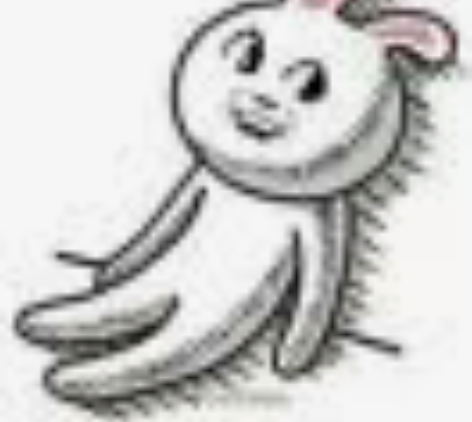 英语在线辅导,可接小学,初中,高中,大学,...