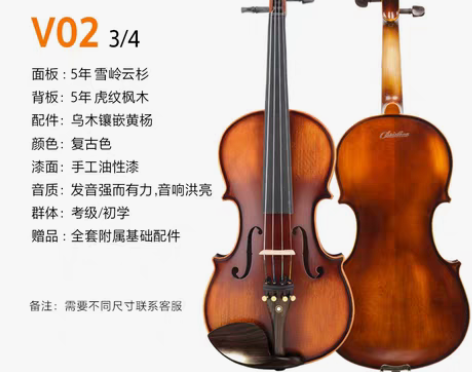 转卖【来电价】CHRISTINA小提琴初学...