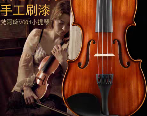 转卖梵阿玲专业级小提琴。音色不错，适合初学...