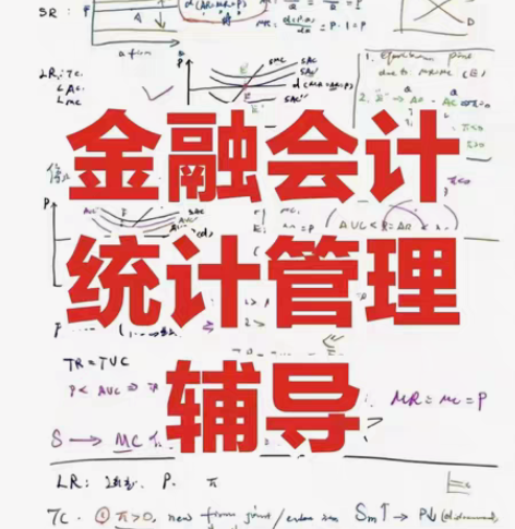 伯明翰研究生team辅导  辅导英文统计和...