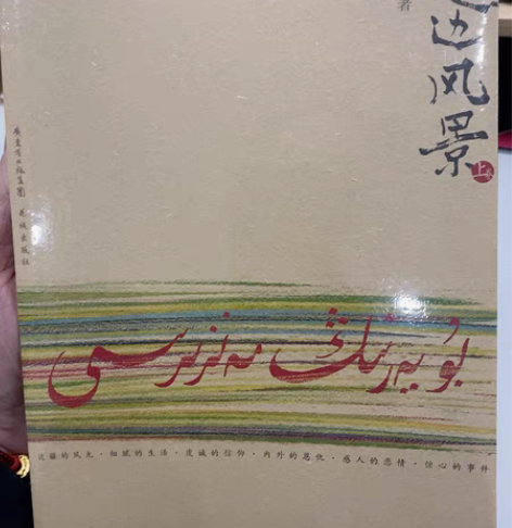 《这边风景》共两册 闲置书籍 不退不换 感...