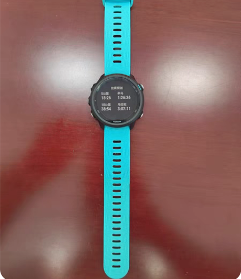 Garmin佳明forerunner245...