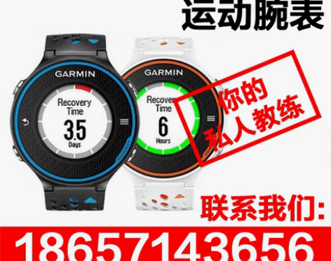 转卖正品国行Garmin佳明+Foreru...