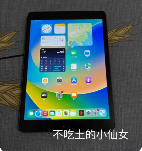 包邮苹果平板iPad（2020）插卡+wi...