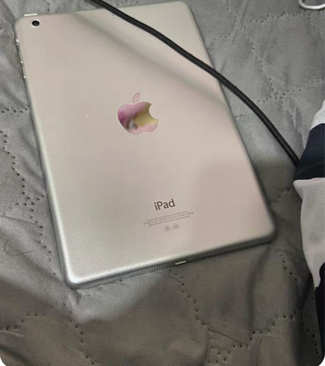 ipad mini初代 成色好一直戴壳带钢...